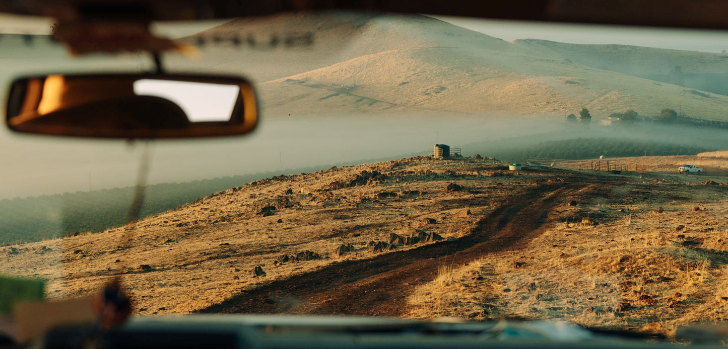 Salty Walrus Brewing Co.